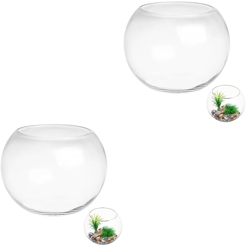 Garneck Tischständer 2 Stück Glas-Aquarium-Bonbonniere Für Büro Klare Blumenvase Büro-Schreibtischdekoration Glasblasenschale Glasschale Goldfischbecken Lebender Tank Desktop-Aquarium von Garneck