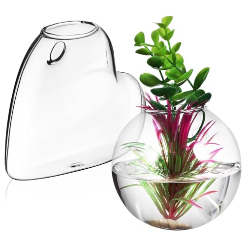 Garneck 2 Stück Wand-Vermehrungsstationen Glas-Zimmerpflanzenhalter Glas-Terrarium-Vase Transparenter Hängender Übertopf Wand-Fischglas von Garneck