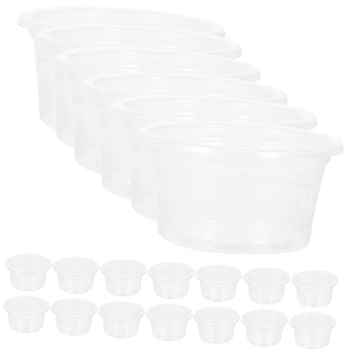 Garneck 20 Stück Transparent Reptilien Schalen Mehrzweck Reptilien Futternäpfe Praktische Futter und Wasserschalen für Schildkröten Geckos und Andere Garneck 20 Stück Transparent Reptilien Schalen Mehrzweck Reptilien Futternäpfe Praktische Futter und Wasserschalen für Schildkröten Geckos und Andere von Garneck