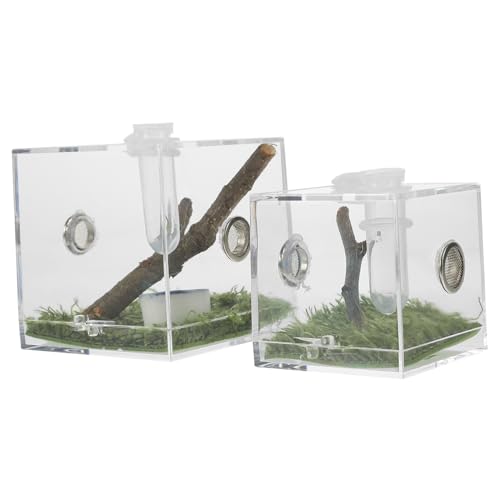 Garneck 2er Set Mini Terrarium Für Springspinnen - Transparenter Reptilienkäfig Und Insektenaufzuchtbox - Ideal Für Kleine Haustiere Und Futterbehälter Acryl Design Für Optimale von Garneck