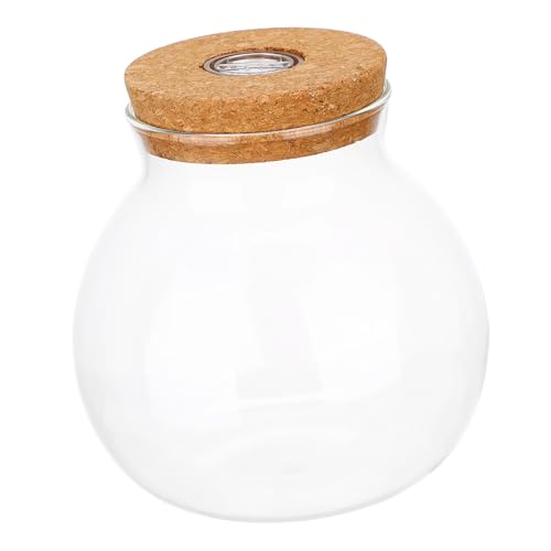 Garneck Aquarium Flasche mit LED Licht Hochborosilikatglas Terrarium Flasche für Mikrolandschaften Kreative DIY Landschaftsflasche mit Holzdeckel und Vielseitig Einsetzbar Garneck Aquarium Flasche mit LED Licht Hochborosilikatglas Terrarium Flasche für Mikrolandschaften Kreative DIY Landschaftsflasche mit Holzdeckel und Vielseitig Einsetzbar von Garneck