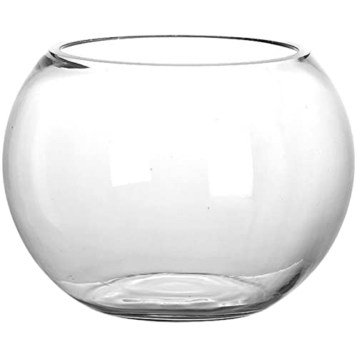 Fischglas Fischschale Aquarium Fischtank Kugelaquarium Glasschale Blumenvase 18cm Terrarium Glasvase für Wohnzimmer Schlafzimmer Zuhause Büro Schreibtisch Dekoration von Garneck