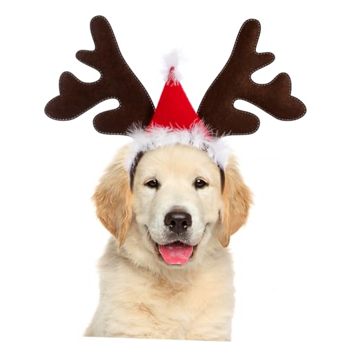 Garneck Weihnachten Hund Rentier Haarreif Mit Ohren Und Geweih - Festliches Hunde Weihnachtskostüm Für Hunde Und Katzen - Ideal Für Xmas Partys Und Cosplay Süßes Tierkostüm Zubehör von Garneck