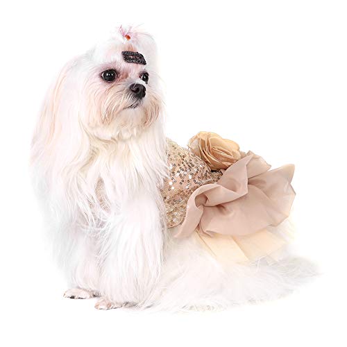 Hundekleid Haustier Kleine Hund Kleidung Pailletten Seidige Tutu Welpen Kostüm Hund Prinzessin Elegant Rock Hochzeit Kostüm (Gold M) von Garosa