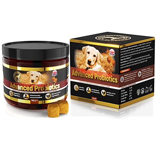 GastroBalance Hund probiotika präbiotika – 100% natürlichen weichen Kausnacks zur täglichen Hund probiotika darmsanierung (Bacon-Geschmack) von GastroBalance