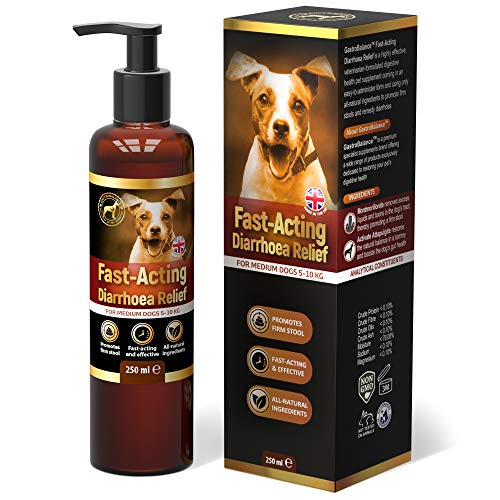 GastroBalance schnell wirkende Durchfallhilfe für Hunde – Natürliche Hunde durchfall behandlung mit sofortiger Wirkung (für MITTELGROßE Hunde 5-10 kg, 250 ml) von GastroBalance