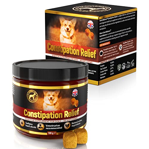 GastroBalance linderung verstopfung beim Hund – 60 weichen kausnacks abführmittel für Hunde 100% natürliche Wirkstoffe (Bacon-Geschmack) von GastroBalance