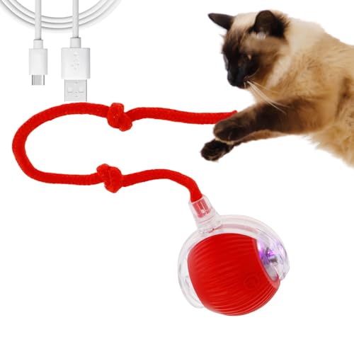 Hundeball Elektrisch Wiederaufladbar Silikonmaterial Selbstrollender Ball Hund 7cm Interaktiver Ball für Geeignet für Hunde Katzen Jeder Größe Jeden Alters (Rot) von Gatphy