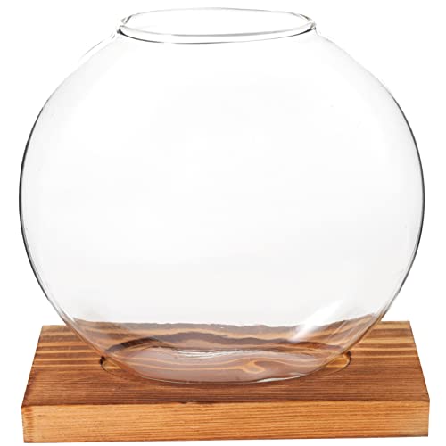 Gatuida Blumentopf Aus Glas Schreibtisch Terrarium Heimdekoration Wasserpflanzer Ornamente Für Vasen Zur Dekoration Kleine Geformte Dekorative Blumenbehälter Dekoration Pflanzen Gatuida Blumentopf Aus Glas Schreibtisch Terrarium Heimdekoration Wasserpflanzer Ornamente Für Vasen Zur Dekoration Kleine Geformte Dekorative Blumenbehälter Dekoration Pflanzen von Gatuida