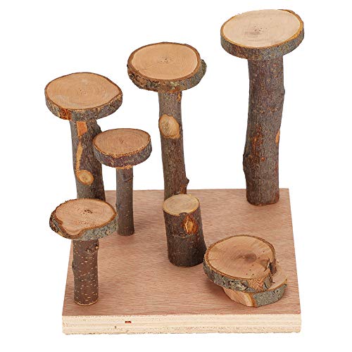 Gavigain Applewood kleines Haustierspielzeug, kaubares Klettern Springboard, robust und anpassbar, für Hamster, Zuckergleiter, Eichhörnchen (Apple Wooden Pillar S) von Gavigain