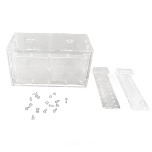 Gavigain Fish Breeding Box, Acryl -Netzdesign, verstellbare Haken, klare Sichtbarkeit, schützt Neugeborene Fische für Aquarienfischpflege (20 * 10 * 11CM) von Gavigain