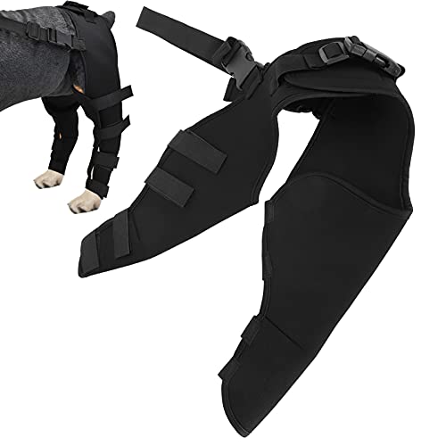 Gavigain Haustier Hund Hinterbeine Protector, einstellbare Knieorthese Beinhalterung für Hunde Hinterbeine erholen (HJ25 hinten Doppel-Leggings schwarz L) von Gavigain