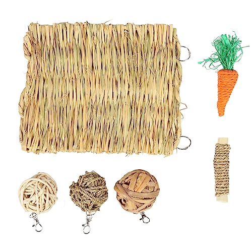 Gavigain Kauspielzeug-Set für kleine Haustiere, 6-teilig, sicheres, essbares Spielzeug für Hamster, Kaninchen, Meerschweinchen, Zahnpflege, Linderung von Langeweile von Gavigain