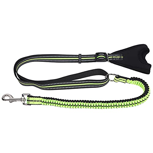 Gavigain Nylon Hunde Leine, Doppel Griff, reflektierend, Anti verloren, bequem, robust, für Training, Gehen, Joggen, Nacht wandlungen, Sicherheit für Haustiere (L) von Gavigain