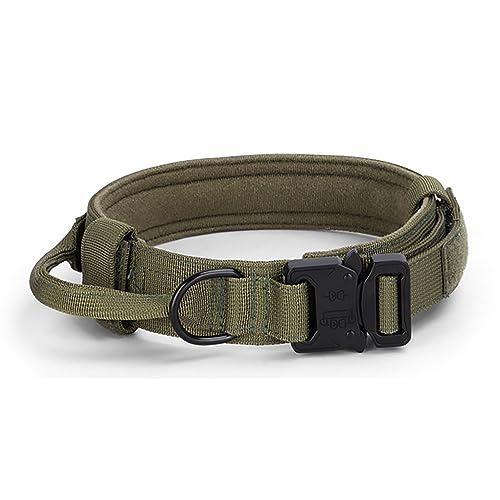 Gavigain Nylon-Hundehalsband, mittelgroß, groß, verstellbar, stabiles Trainingshalsband mit sicherer Schnalle, Bequeme Passform für Zugkontrolle und Gehorsam (L) von Gavigain