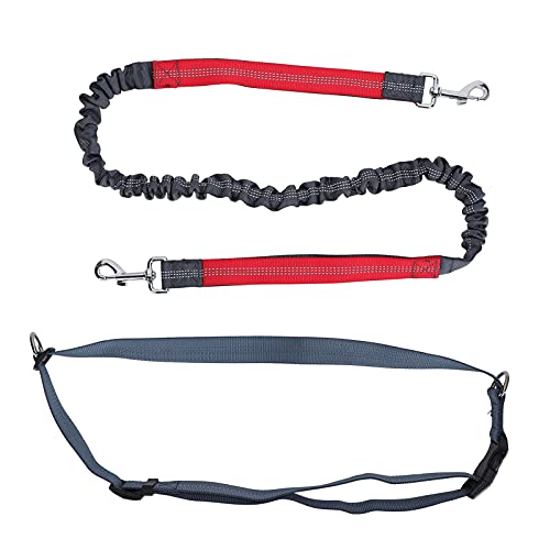 Gavigain Nylon Hundeleine mit Kragen, reflektierender, elastischer Puffer, Einstellbarer Länge, weicher Griff, robust für kleine und große Hunde (Red) von Gavigain