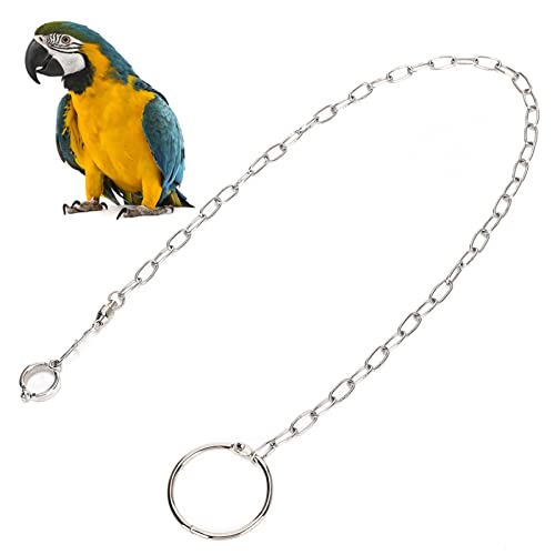 Gavigain Parrot Training Fußkette, Edelstahl Split Fuß Kette für große Papageien, Haustier Training Fußkettchen von Gavigain