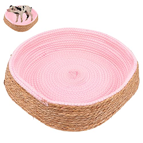 Gavigain Rattan -Katzenbett, bequemes und gemütliches Design, robuste und sichere Bauarbeiten für kleine Haustiere (Pink) von Gavigain