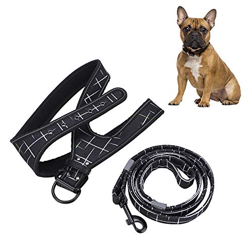 Gavigain Reflective Dog Traction -Anzugsgurt, bequemes Oxford -Stoff und Neopren, Starke Passform und Kontrolle für kleine mittelgroßen großen Hunden (L) von Gavigain