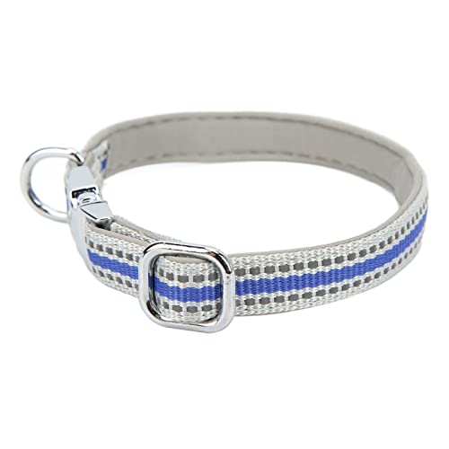 Gavigain Verstellbarer Hundehalsband, reflektierendes Nylon -Gurtband, personalisierte Zinklegungsschnalle, weiche Bequeme Passform, Rost, für kleine bis große Hunde (L) von Gavigain