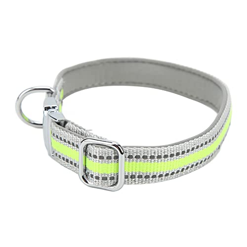 Gavigain Verstellbarer Hundehalsband, reflektierendes Nylon -Gurtband, personalisierte Zinklegungsschnalle, weiche Bequeme Passform, Rost, für kleine bis große Hunde (XS) von Gavigain