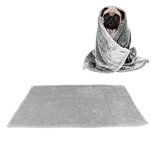 Gavigain kleine Haustierdecke, Korallenfleece, superweich und warm, maschinenwaschbar, leicht und tragbar, für kleine Hunde Katzen, Reisen, Sofa, Bettschutzschutz (Light Gray) von Gavigain