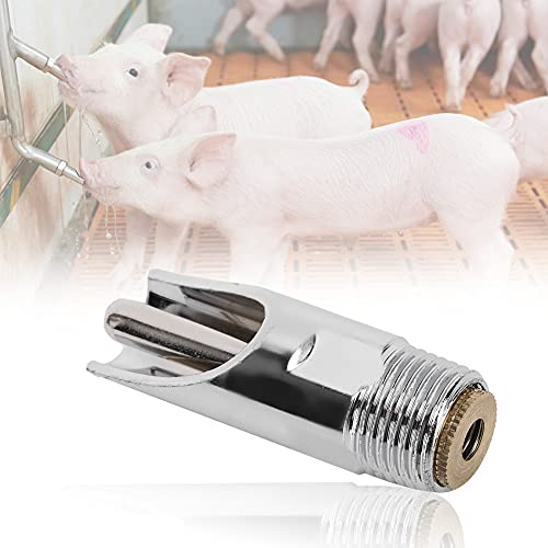 Gavigain Trinkwassersystem Wasserhahn,Edelstahl Nippeltränke Automatischer Schweinetränker Effiziente Landwirtschaftliche Ausrüstung für Vieh Schweine von Gavigain