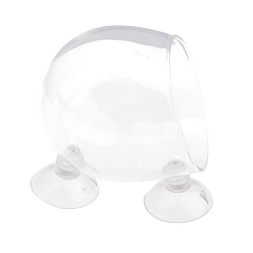 Gazechimp Wasserpflanze Glasbecher Glasvase Topf Pot mit Saugnapf Für Aquarium Aquaaping Fisch Tank Halter von Gazechimp