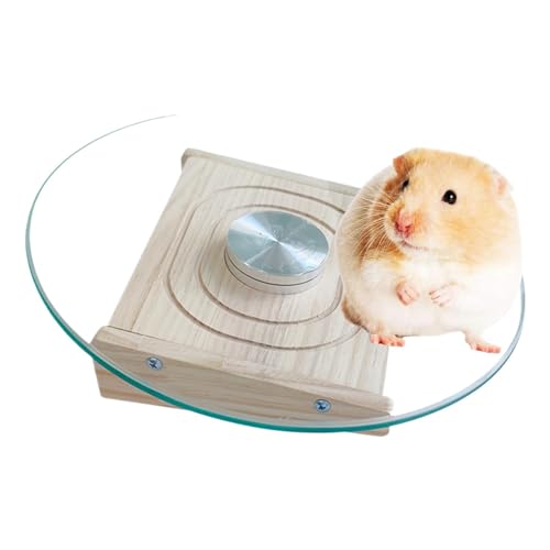 Chinchilla Laufrad, Kleintiergesundheitsläufer, leise, Laufkäfig-Spinner, 29 x 6 cm, einfach zu bedienen, tragbar für Chinchillas, Meerschweinchen von Gcerfby