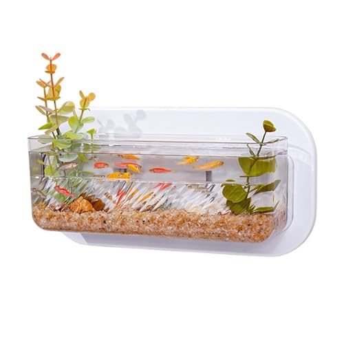 GCERFBY WALS MOTED FISHELSCHELL, Keine BRAPING, BOCKEL Aquarium und Pflanzenbehälter, Purple-Design, dekoratives Aquarium, 25x7x9,5 cm, einfache Installation für Haus von Gcerfby