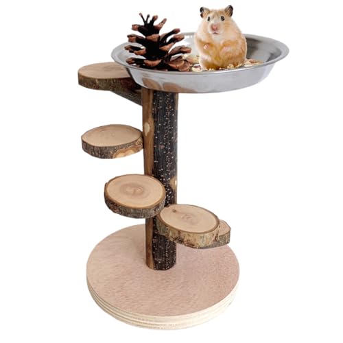 Hamsterplattformen, Käfigleiter -Spielplatz, Haustier -Übungs -Lebensraumdekor, 23x14x14 cm, perfekt zum Schleifen, Spielen, Füttern Hamsterplattformen, Käfigleiter -Spielplatz, Haustier -Übungs -Lebensraumdekor, 23x14x14 cm, perfekt zum Schleifen, Spielen, Füttern von Gcerfby