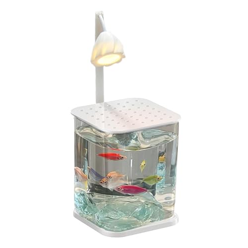 Kleines Aquarium, Wasser-Terrarium, Glas, einfach aufzubauen, 10 x 15 x 24,5 cm, für Betta von Gcerfby