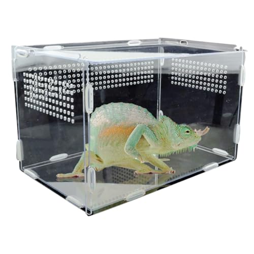 Reptilienfütterung Acrylbox, Vogelspinnen-Zuchtterrarium, klarer Schneckenlebensraum, leicht/tragbar, sicherer Verriegelungsmechanismus, L/XL für Reptilien, Arthropodenhalter von Gcerfby