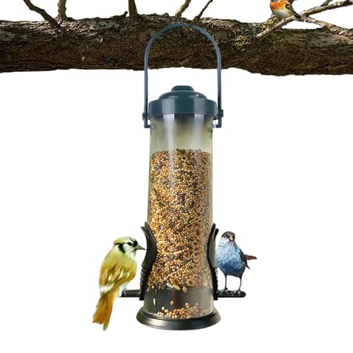 23x14cm Vogelhäuschen Für Kleine Vögel,Wild Bird Seed Feeder Für Mischsamenmischungen - Großer Vogelfutterspender Für Kleine Vögel, Transparentes Futterspender Mit 2 Futteröffnungen von Gdnhovfnxe