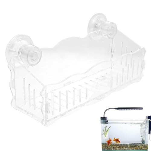 Gdnhovfnxe Saugnapf-Pflanzenhalter, Aquarium-Saugnäpfe, Wasserpflanzenbecher, Acryl-Aquarium-Pflanzenhalter, Transparenter Blumentopf für Aquarien mit Saugnapf, von Gdnhovfnxe