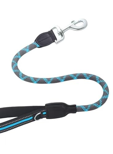 Heimtierbedarf, neues Leder-Hundetraining, kurzes Zugseil im großen Hunde-Hundegehseil. (Color : 1, Size : 10mm*80cm) von GeRRiT