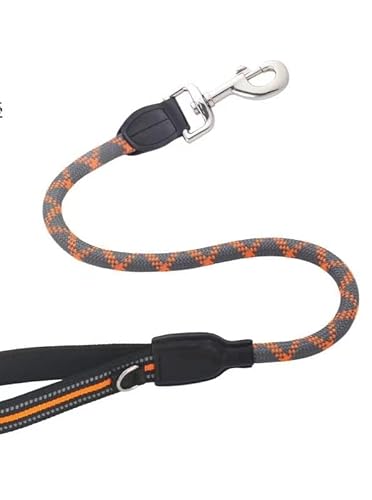 Heimtierbedarf, neues Leder-Hundetraining, kurzes Zugseil im großen Hunde-Hundegehseil. (Color : 2, Size : 10mm*80cm) von GeRRiT