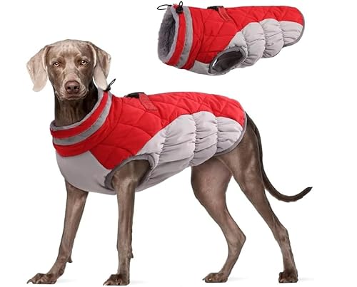 GearPrice Wasserdicht Hundemantel, Kaltes Wetter Winter Warme Jacke für Kleine Mittlere Große Hunde, Kuschelige Hundepullover mit Fleece Gefütterte Reflektierend Welpen Winterweste, (Rot, L) von GearPrice