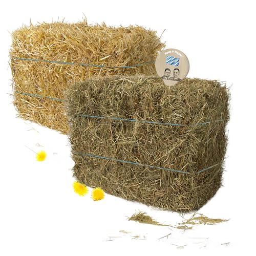 Gebrüder Goller - 10 kg Stroh + 10kg Heu – Strohballen und Heuballen für Kleintiere - für Kaninchen, Meerschweinchen, Hamster und andere Nager – auch als dekostroh oder heu deko - Direkt aus Bayern von Gebrüder Goller