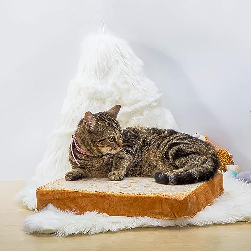 Gefryco Katzenbetten für Indoor-Katzen, Haustiermatten Kissen für Katze und kleine Hunde Kreative Toast Brot Slice Matratze (Schwammkern) von Gefryco