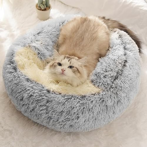 Flauschiges Katzenbett Katzenhöhle Katzen Höhlenmatte Katzenbett Kleine Hund gemütliche Bett für Plüschhunde mit abnehmbarem Bett für Katze und Kleine Hund (60X60 cm,Grau) von Gehanico