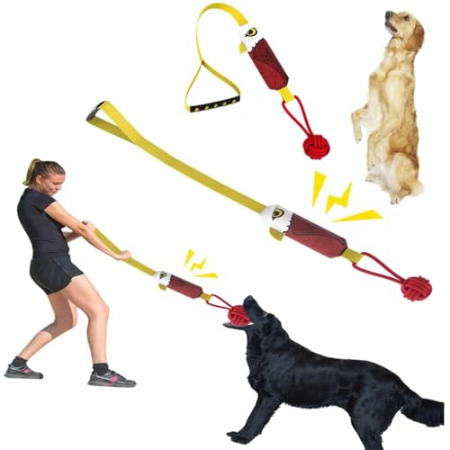 Gehanico Hundespielzeug aus Seil, quietschendes Spielzeug für aggressive Kauer, unzerstörbar, interaktives Tauziehen, Seilspielzeug für mittelgroße Hunde, Langeweile, Kauen, Zahnen (Adler, 2 Stück) von Gehanico