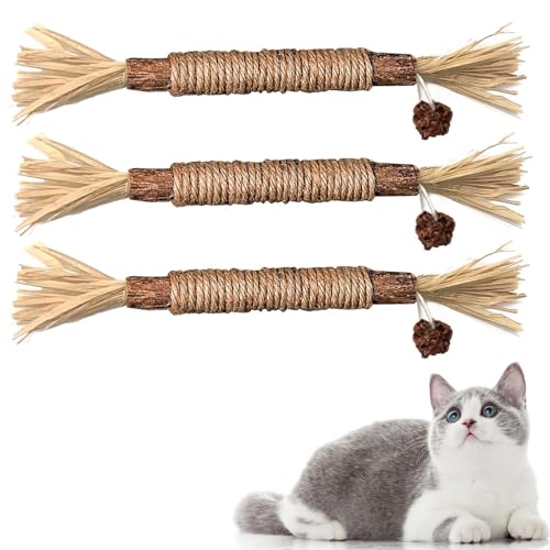 Gehanico Katzensticks Katzenminze Sticks | Katzen Kauhölzer Sticks für Katzen Zahnpflege & Gegen Mundgeruch Natürlich Sicher Katzensticks Kausticks (3 STK) von Gehanico