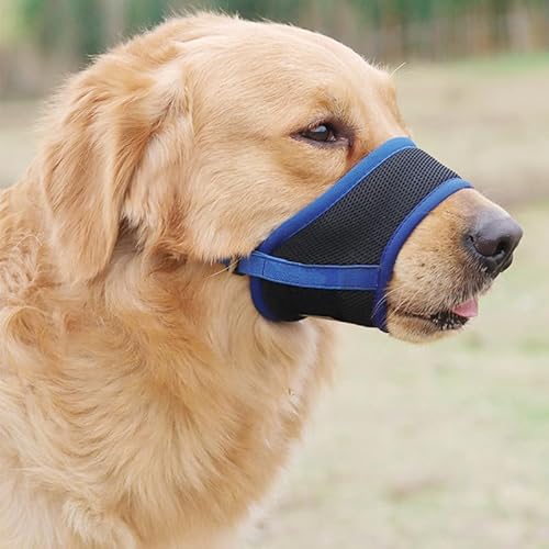 Gehanico Maulkorb Hunde Nylon Maske Verhindert Beißen Und Fressen Bellen Und Kauen Für Große Hunde Verstellbarer, Für Verbindungsgurt Kleine Mittlere Große Hunde (L,Blau) von Gehanico