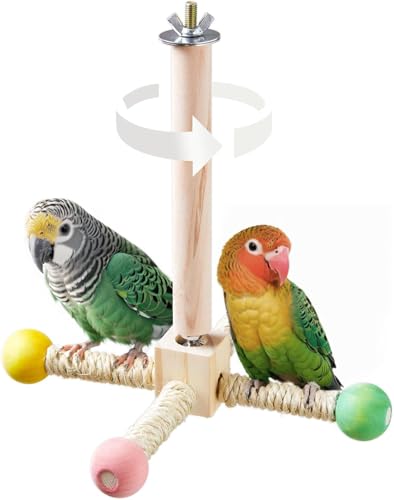 Vogelständer Sitzstange Spielzeug Papagei Stehende Hängende Sitzstange Holz Übungsrad Vögel Spielzeug Interaktives Drehspielzeug für Sittiche Wellensittiche Wellensittiche Lovebirds Geschenk (1 Stück) von Gehanico