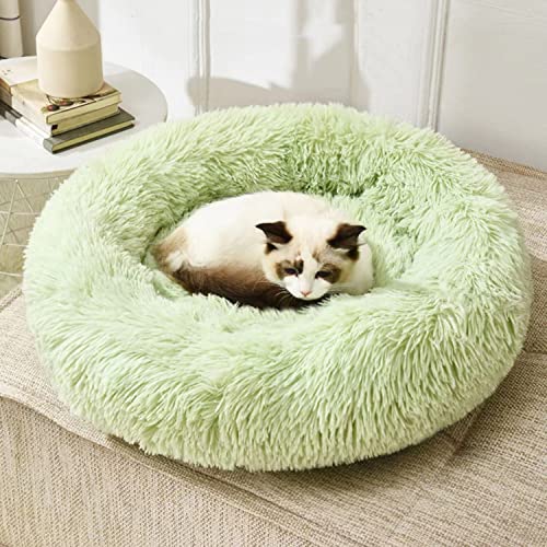 Geizire 61 cm Katzenbett Hundebett für Katzen, kleine/mittelgroße Hunde, waschbar, Donut, beruhigend, rund, weich, flauschig, warm und gemütlich, Anti-Angst-Kuschel, Haustierbett (groß, grün) von Geizire