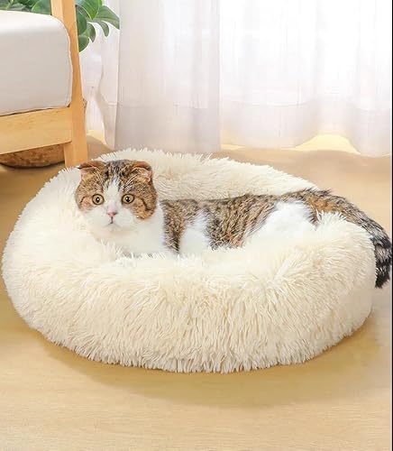 Geizire Katzenbett Hundebett für Katzen, kleine/mittelgroße Hunde, waschbar, Donut, beruhigend, rund, weich, flauschig, warm und gemütlich, Gelenkentlastung Haustierbett (Medium, Weiß) von Geizire