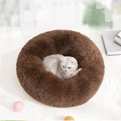 Geizire Waschbares kleines Katzenbett, Donut-Haustierbett, beruhigend, rund, weich, flauschig, warm und gemütlich, Anti-Angst-Kuschel, Gelenkentlastung (nur für Welpen oder Kätzchen bis zu 2,3 kg, von Geizire