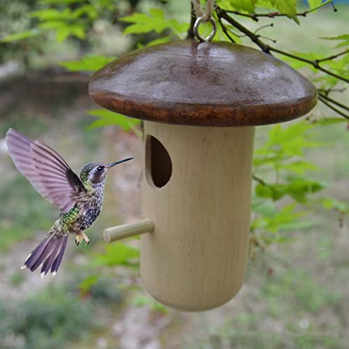 Kolibri-Haus für den Außenbereich, Kolibri-Häuser für den Außenbereich, Kolibri-Häuser aus Holz, für Vogelhäuser im Freien, Naturholz, Kolibri, Gi-Kristall-Halsketten für den Außenbereich, Khaki, von Gelb&Schwarz