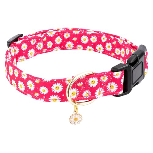 Gelwoo Hundehalsband aus Baumwolle, weich und niedlich, Welpenhalsband mit Blumenmuster, für Mädchen, Hündinnen, Jungen, Hunde, verstellbare Schnalle, Haustierhalsband für kleine, mittelgroße und von Gelwoo